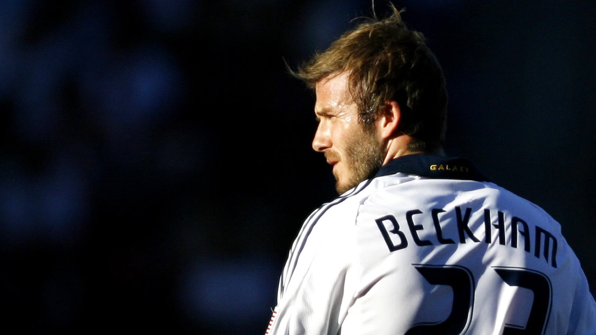 王权不落，生死战击退灰熊，福克斯加冕关键先生